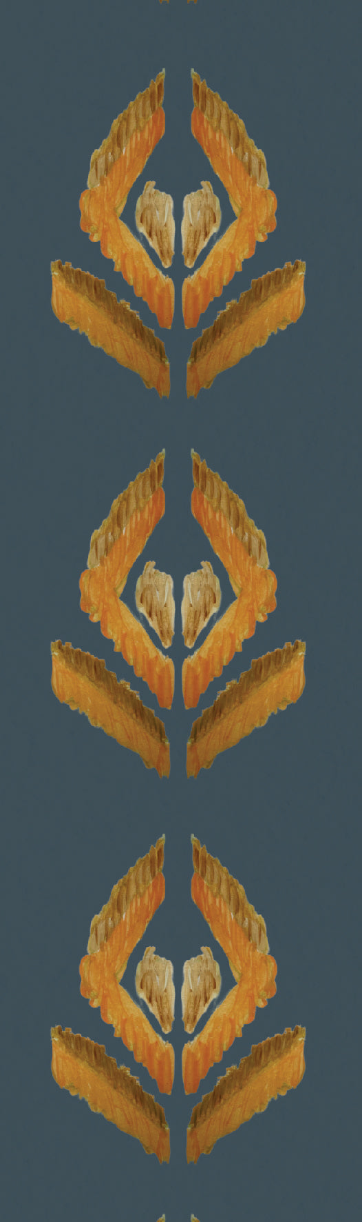 Border Aztec