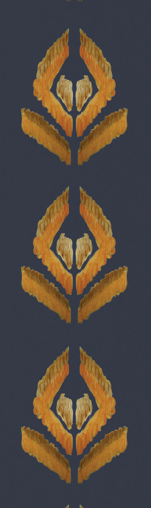 Border Aztec