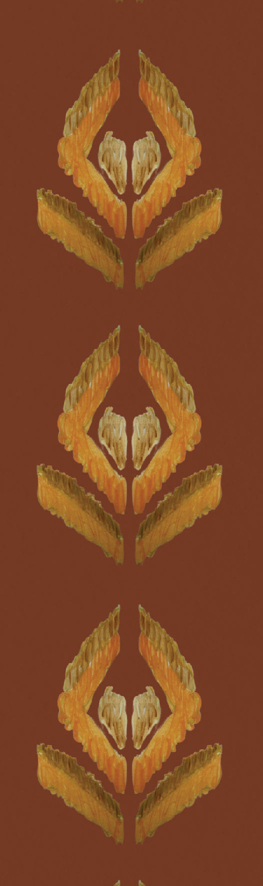 Border Aztec