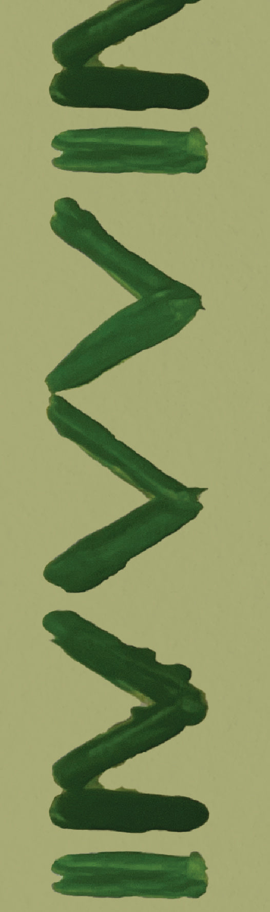Border Green Hedge