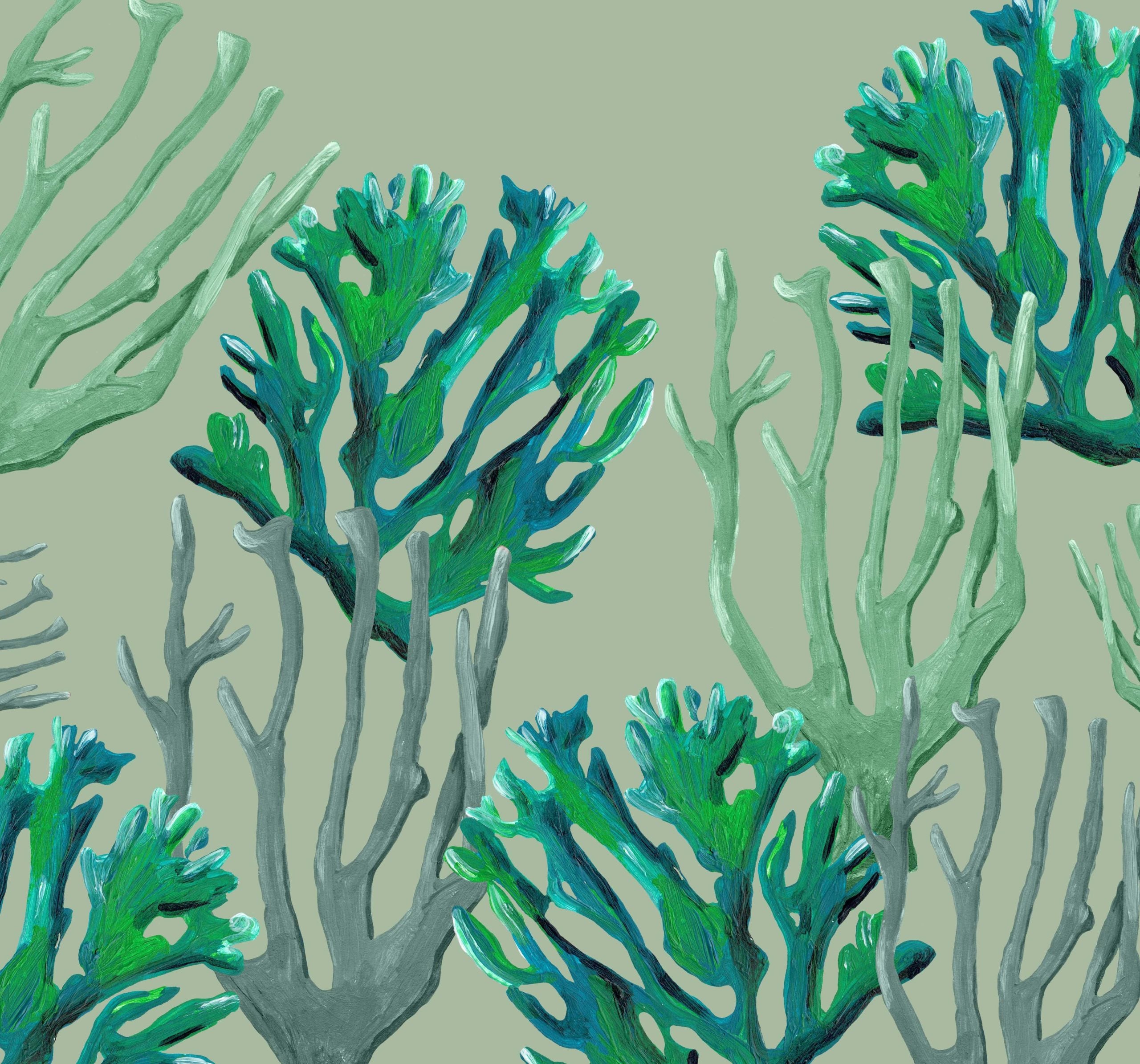 Mural Koraal Coastal coral
