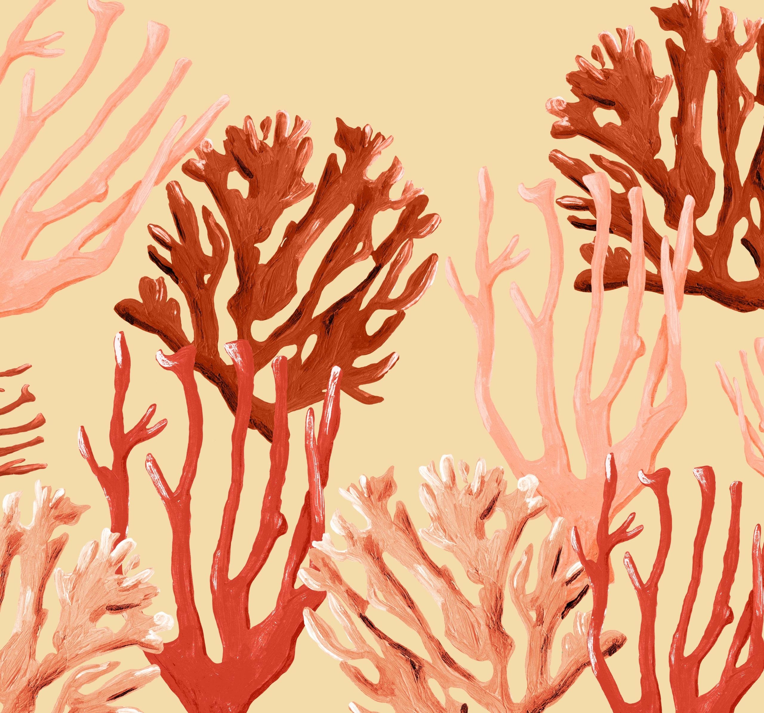 Mural Koraal Coastal coral