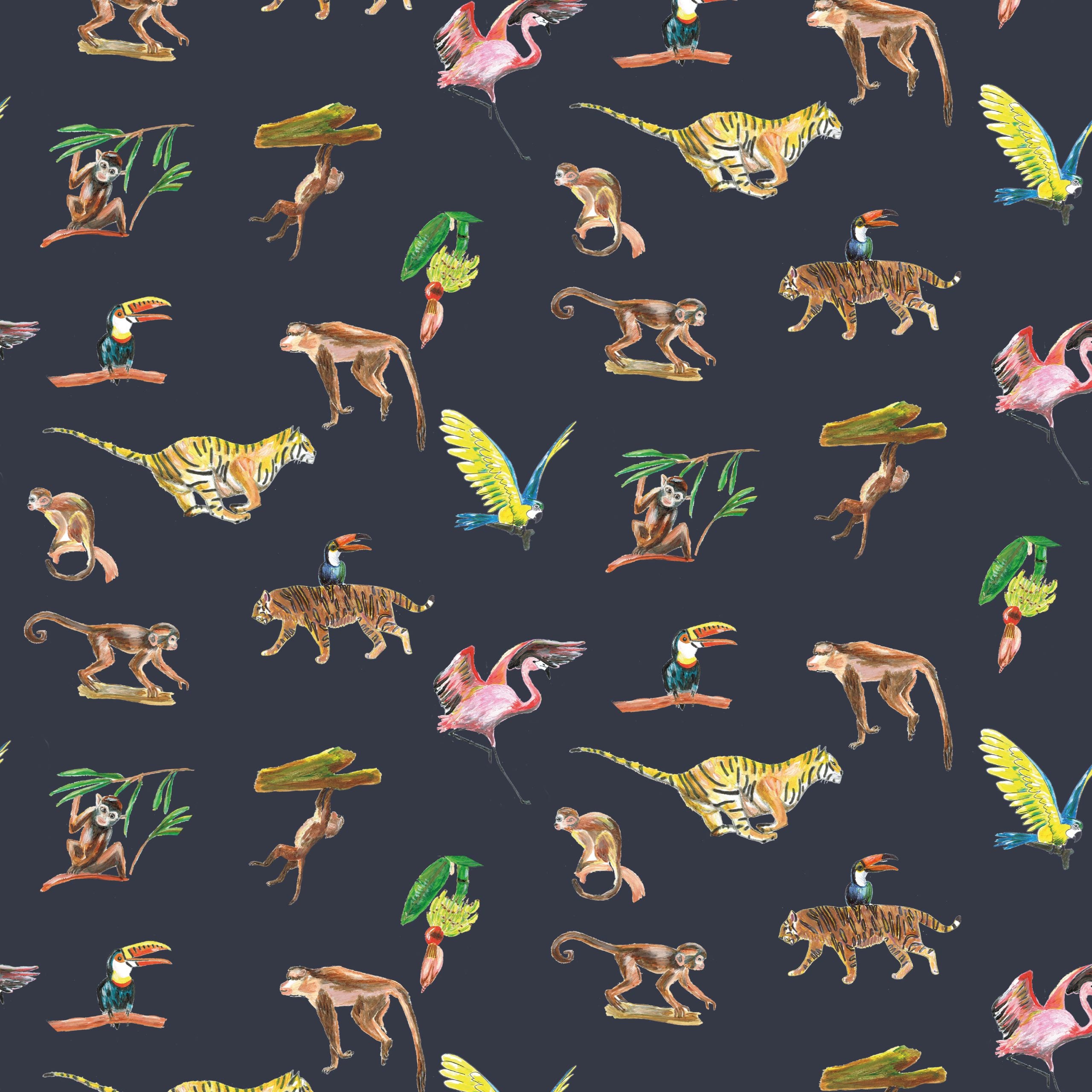 Wallpaper animals Colorful Wildlife