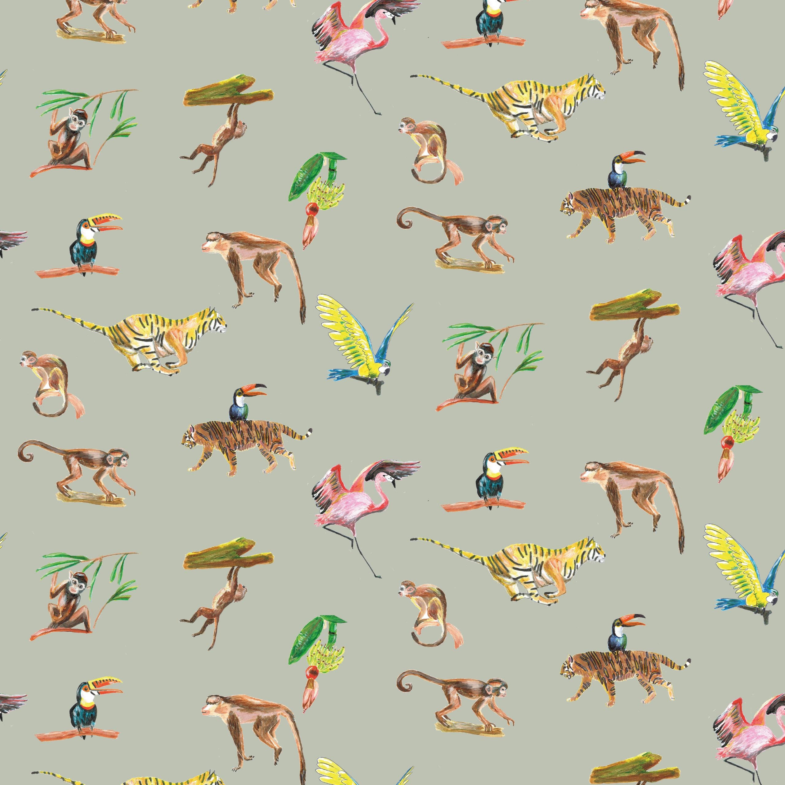Wallpaper animals Colorful Wildlife