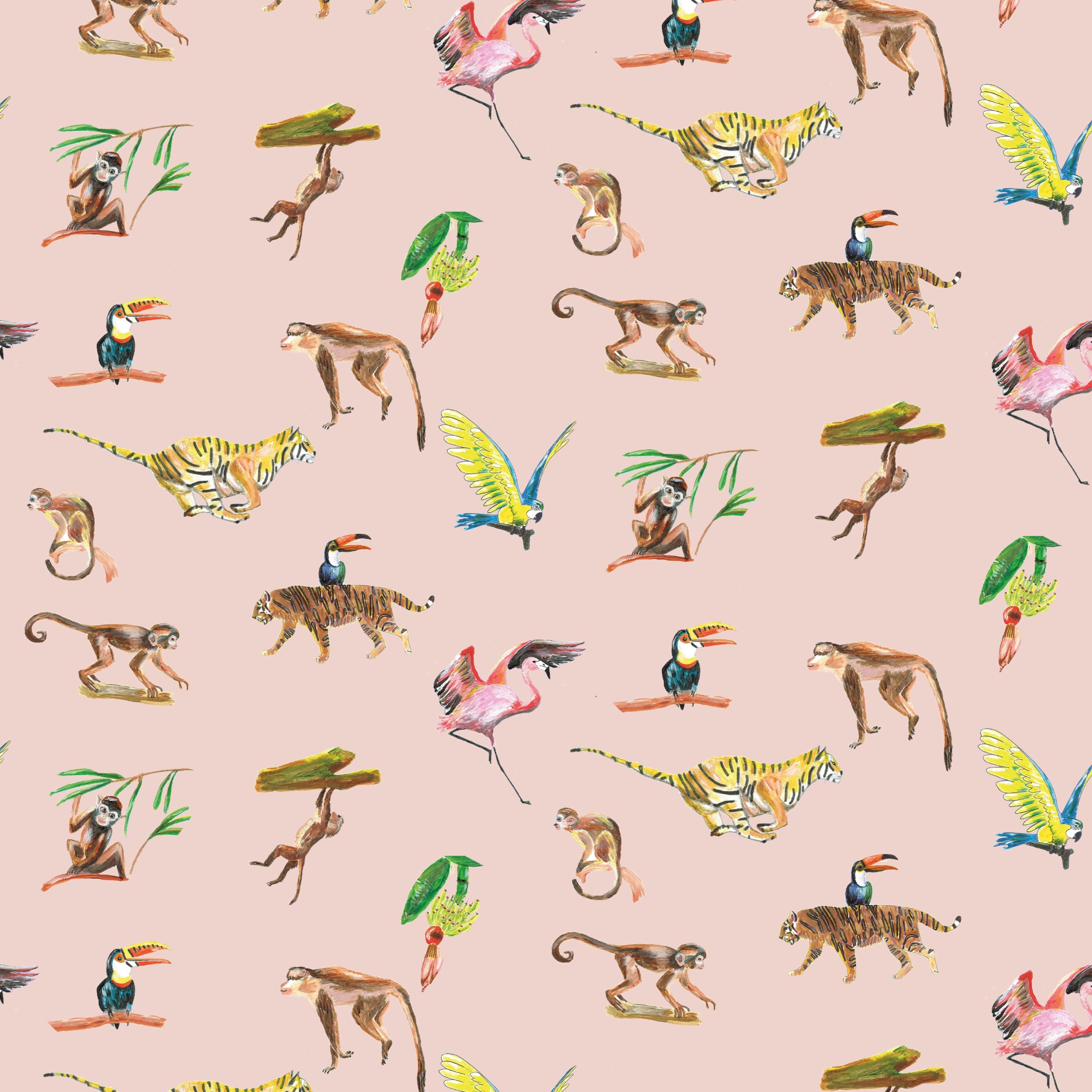 Wallpaper animals Colorful Wildlife