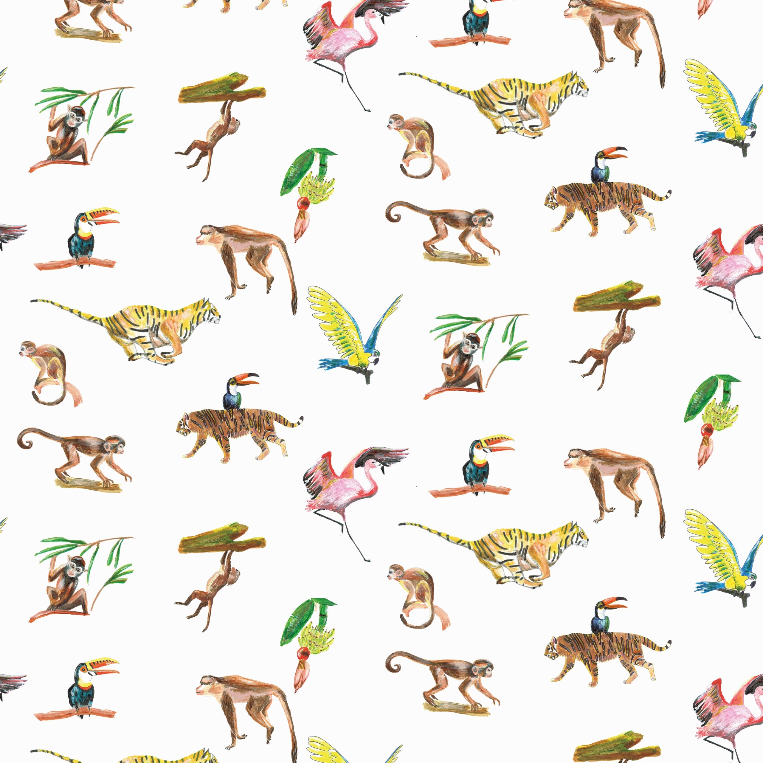 Wallpaper animals Colorful Wildlife