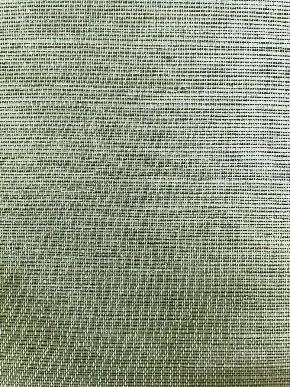 Behang Sisal viridiaan