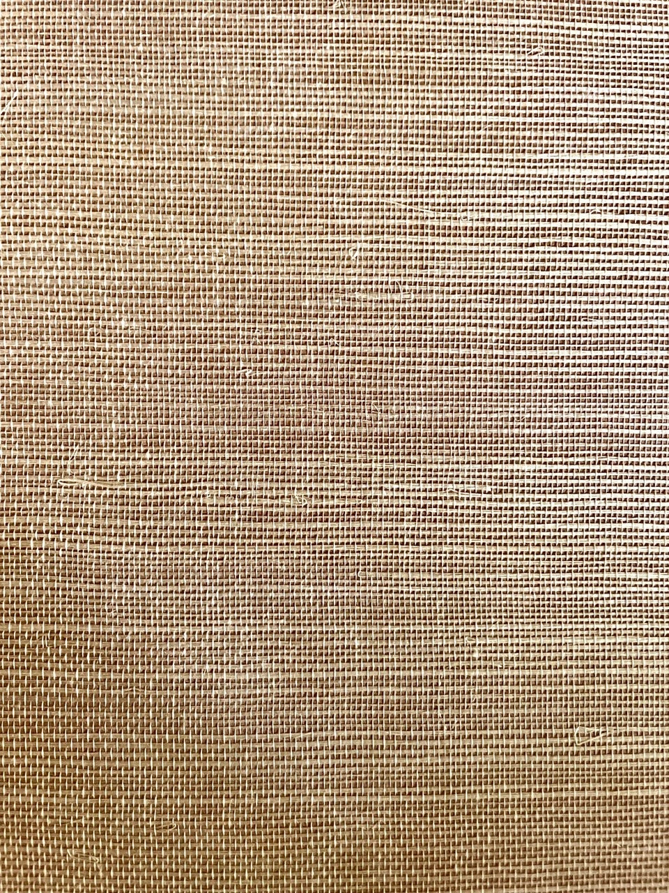Behang Sisal camel